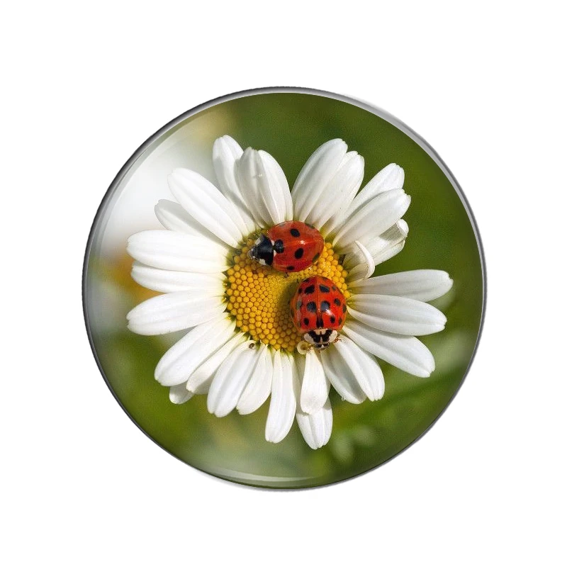 Новинка Божья коровка в виде насекомых обратно природу 10 мм/12 мм/18 мм/20 мм/25 мм