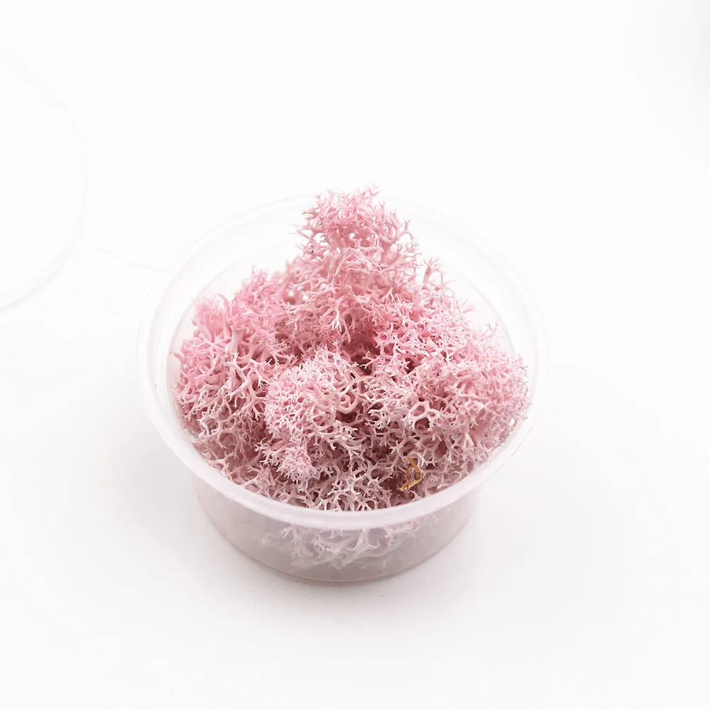 light pink 1 коробка 2-2,5 грамм серьги цвета мха из натурального агата microlandschaft наполнитель для стеклянного глобуса силиконовая форма DIY ювелирных изделий ремесло materia - Цвет: light pink