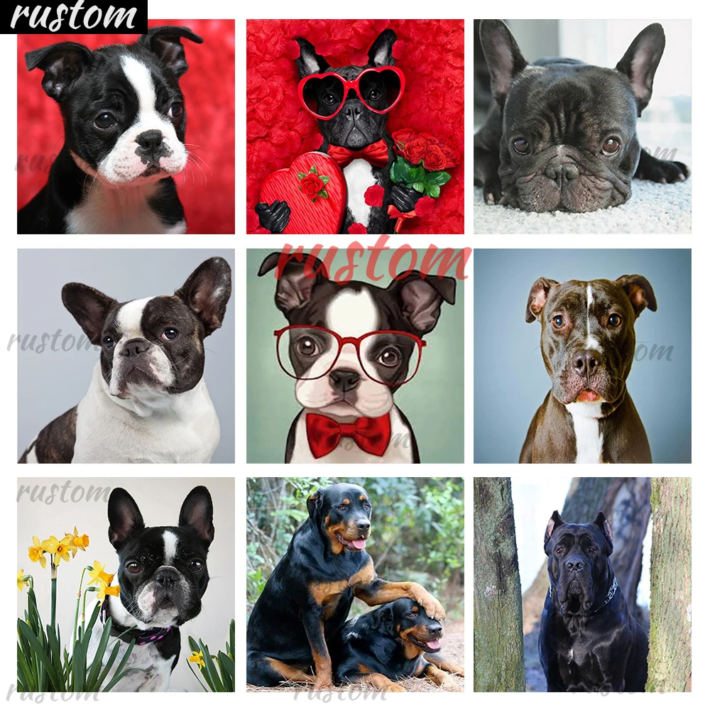 

Crystal Mosaic Picture Full Square/Round Drill Sale French bulldog 5D Daimond Painting Embroidery Cross Stitch Diamond Painting
