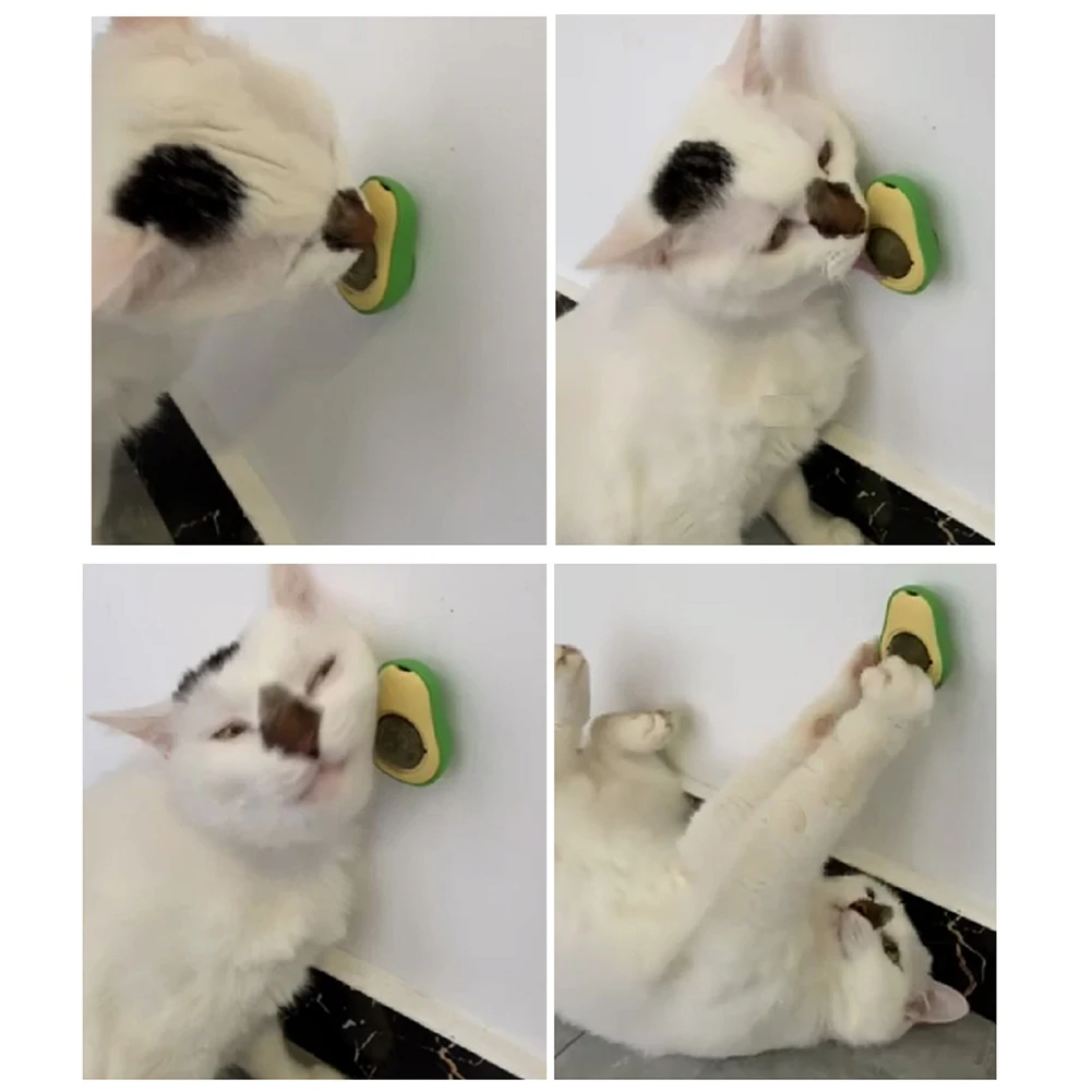 

Funny Catnip Toys Cute Avocado Teeth Cleaning Cat Supplies Catnip Mini Toys Fashion Interactive Pet Toys Pet Supplies