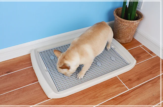 

Durable Tray Dog Toilet Training Indoor Splash Proof Dog Toilet Simple Puppy Pads Cosas Para Perros Cleaning Supplies DK50LH