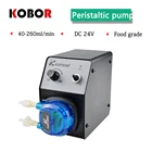 Перистальтический насос, миниатюрный бустерный насос с лабораторной регулировкой скорости, насос для подачи носа, умный Дозирующий циркуляционный насос