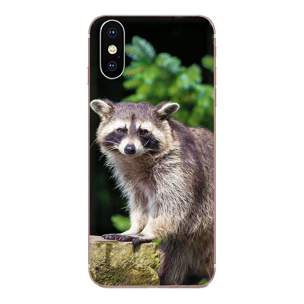 as picture ТПУ чехол для сотового телефона животное енот арт Coque для Xiaomi Red mi 4 7A 9T K20 CC9 CC9e Note 7 9 Y3 SE Pro Prime Go Play - Цвет: as picture