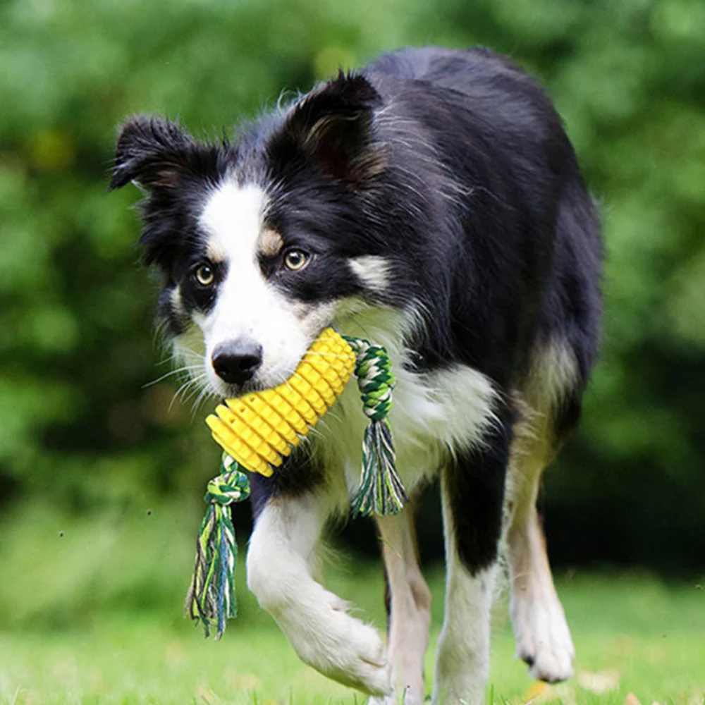 

Резиновая Жевательная Щетка для собак, зубная щетка для чистки зубов, зубная щетка es, палочка для чистки питомцев, товары для домашних питом...