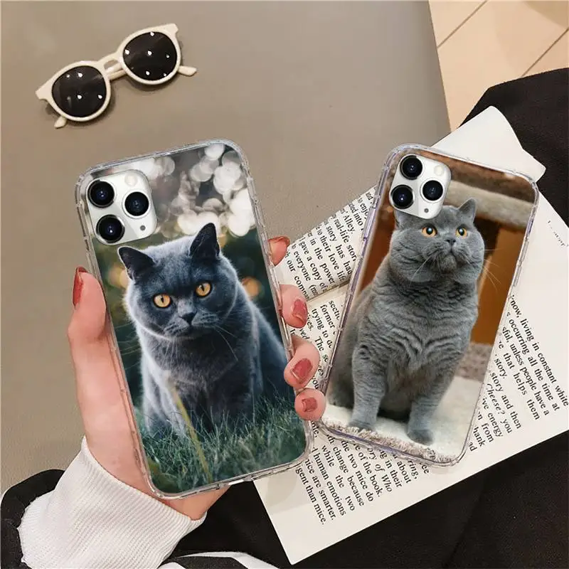 

British Shorthair cat cute animal Phone Case Transparent soft For iphone 12 11 13 7 8 6 s plus x xs xr pro max mini