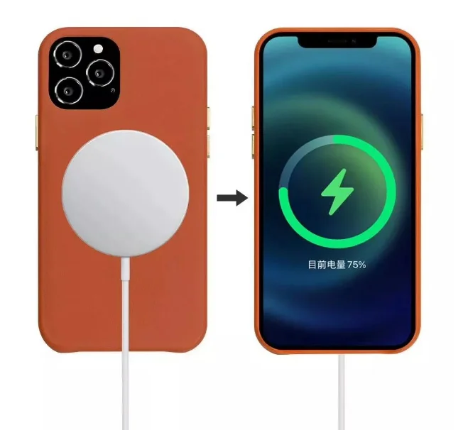 

Real Leather Case Voor Iphone 12 Pro Cases Magnetische Luxe Draadloze Lading Cover Voor Iphone 12 Pro Max Mini