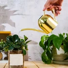 Кастрюля для полива растений, 500 мл, из нержавеющей стали