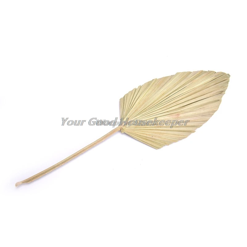 

1pc Dried Flower Natural Pu Fan Leaf For DIY Home Shop Display Decoration