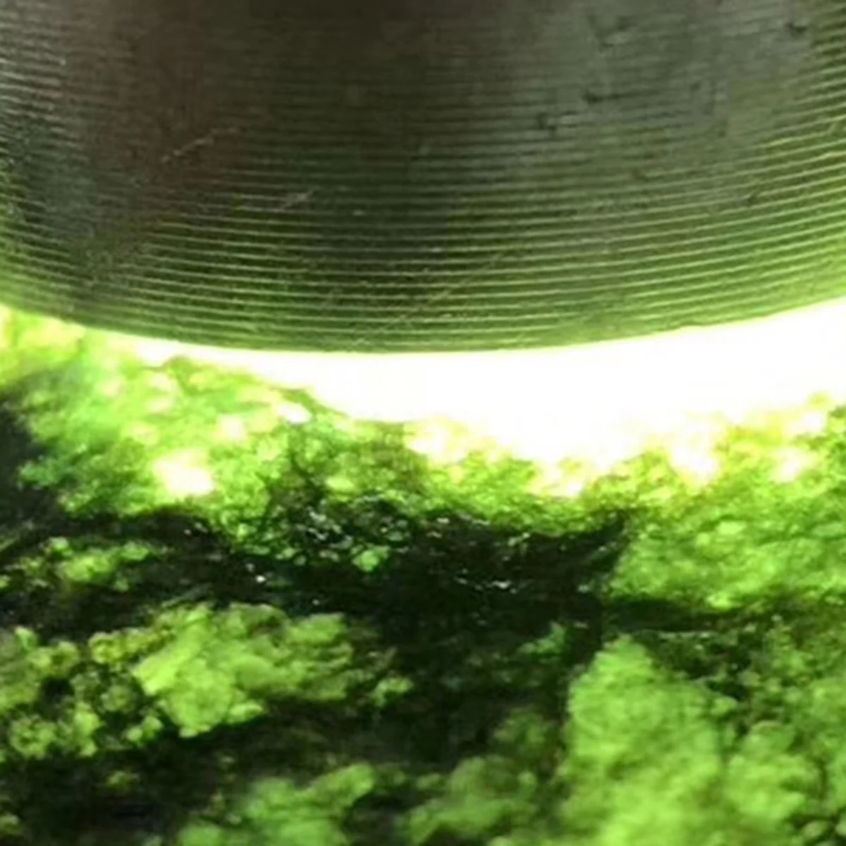 3 в 1 СВЕТОДИОДНЫЙ УФ-фонарь с нефритом/драгоценным камнем/идентификацией