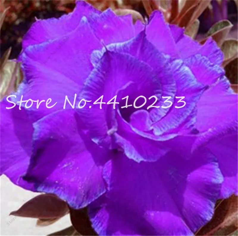 5 шт. искусственный цветок |