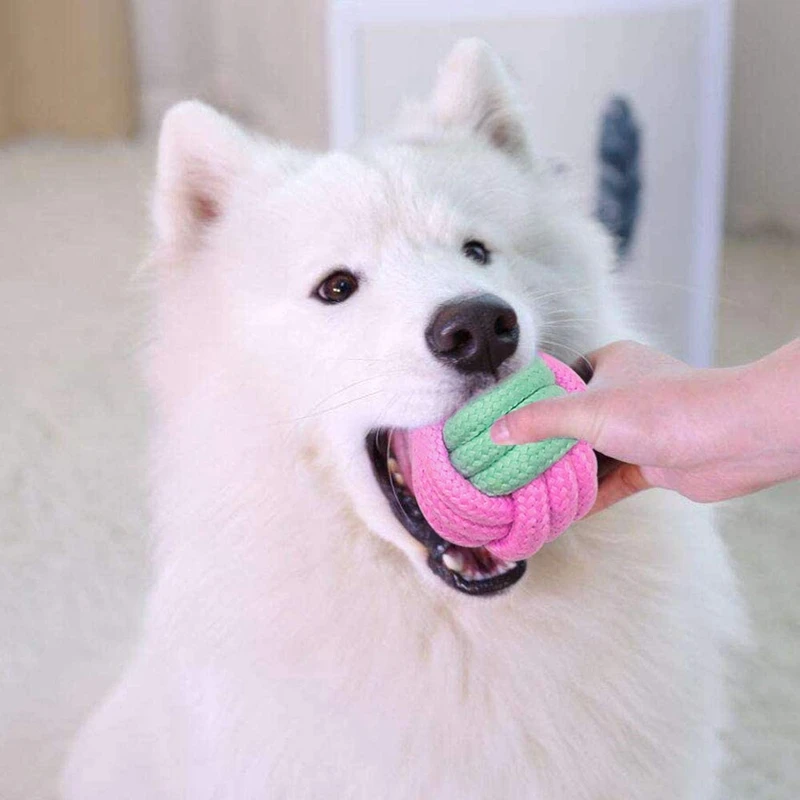 

New 12PCS Dog Rope Toys Puppy Braided Rope Toys Set Pet Dog Teeth Cleaning Gift Chew Durable Interactive Cotton Toys