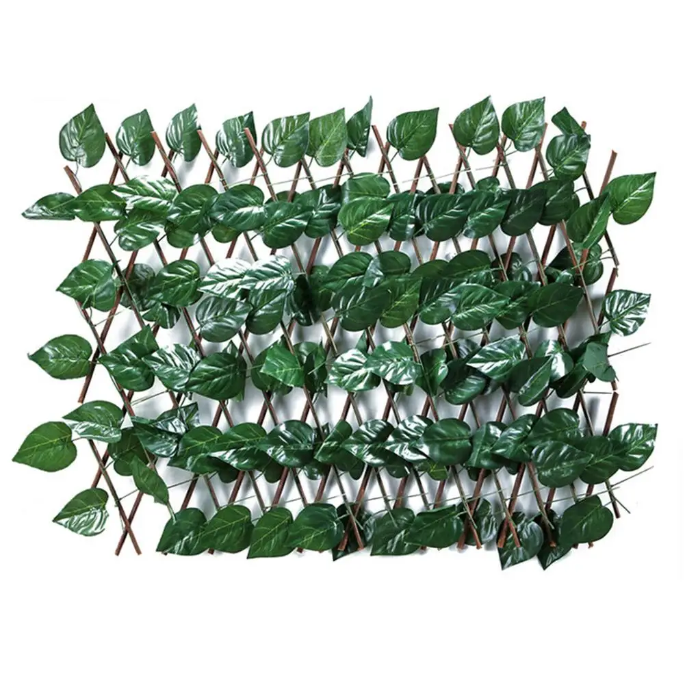 Садовый ограждение из зеленой виноградной лозы экран для живой изгороди