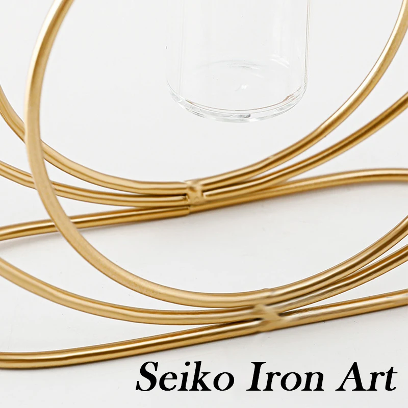 

Nordic Vase Iron Line Art Table Vase Decor Home Glass Aquarium for Flowers Plants Centerpiece Decorative Rose Vase Tumblers