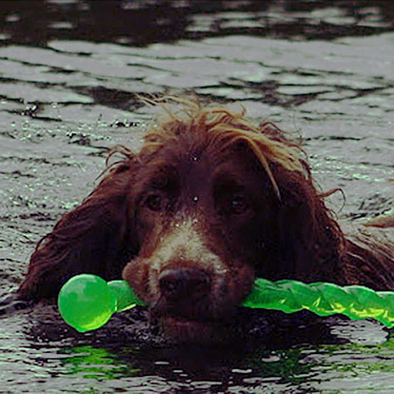 

Reflective Pet Molars Chewing Stick Rubber Tough Soft Toss To Find Green Cat Teaser Dog Toys for Large Dogs Puppy Accessories