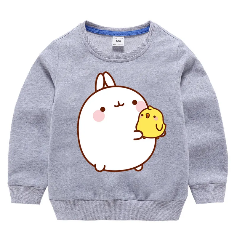 Детские хлопковые толстовки с капюшоном принтом molan и Piupiu хлопковый пуловер для