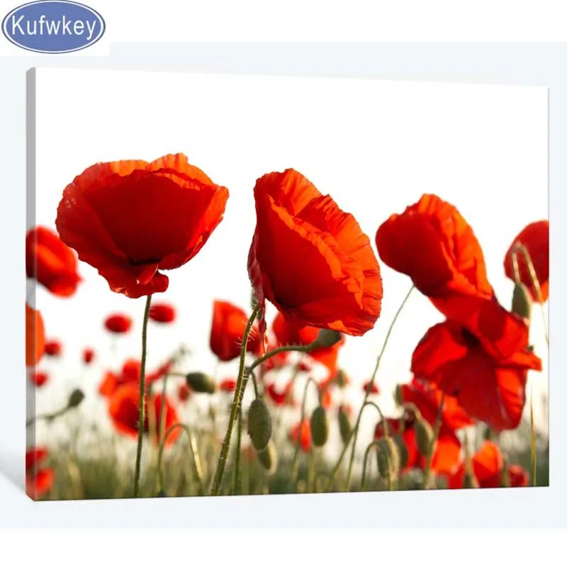 Алмазная живопись сделай сам Красные маки вышивка крестиком картина 5D круглая