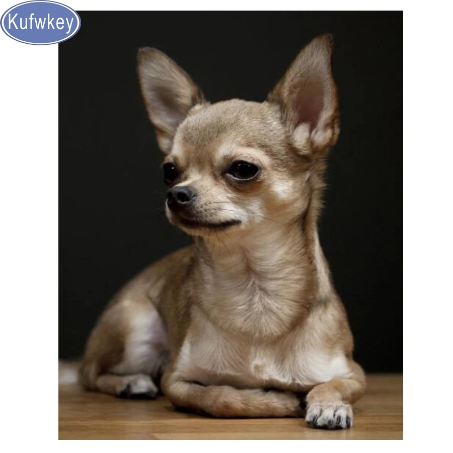 Полная квадратная круглая Алмазная вышивка чихуахуа 5d алмазная живопись милая