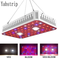 double switch full spectrum 300w 600w 1000w led grow light for indoor plants flower greenhouse grow tent veg phytolamp fitolampy