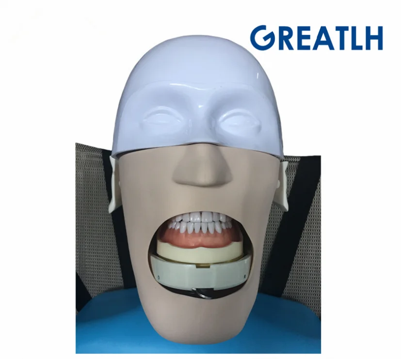 Стоматологическая манекиновая фантомная головка для стоматологии и