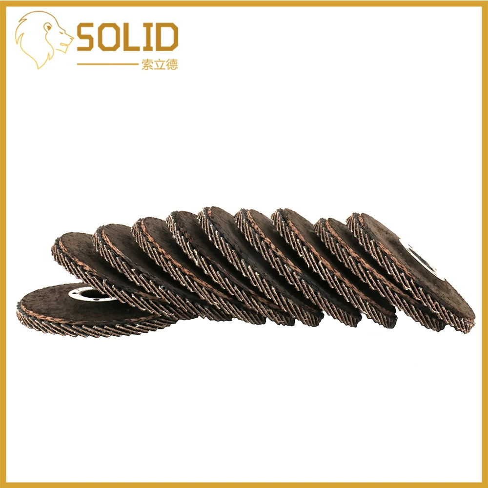 

Flap Discs 125mm Sanding Discs Flap Grinding Wheels for Angle Grinder 10Pcs 80Grit