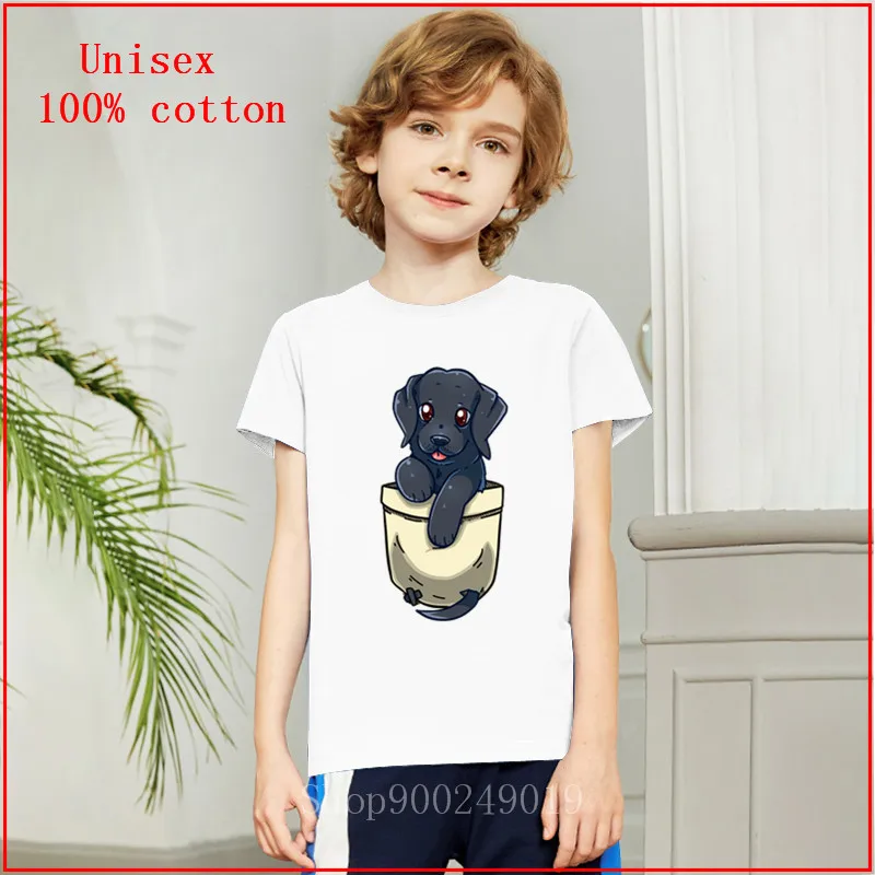 2020 летняя черная лаборатория Черный Лабрадор Собака ретривер Милая карманная