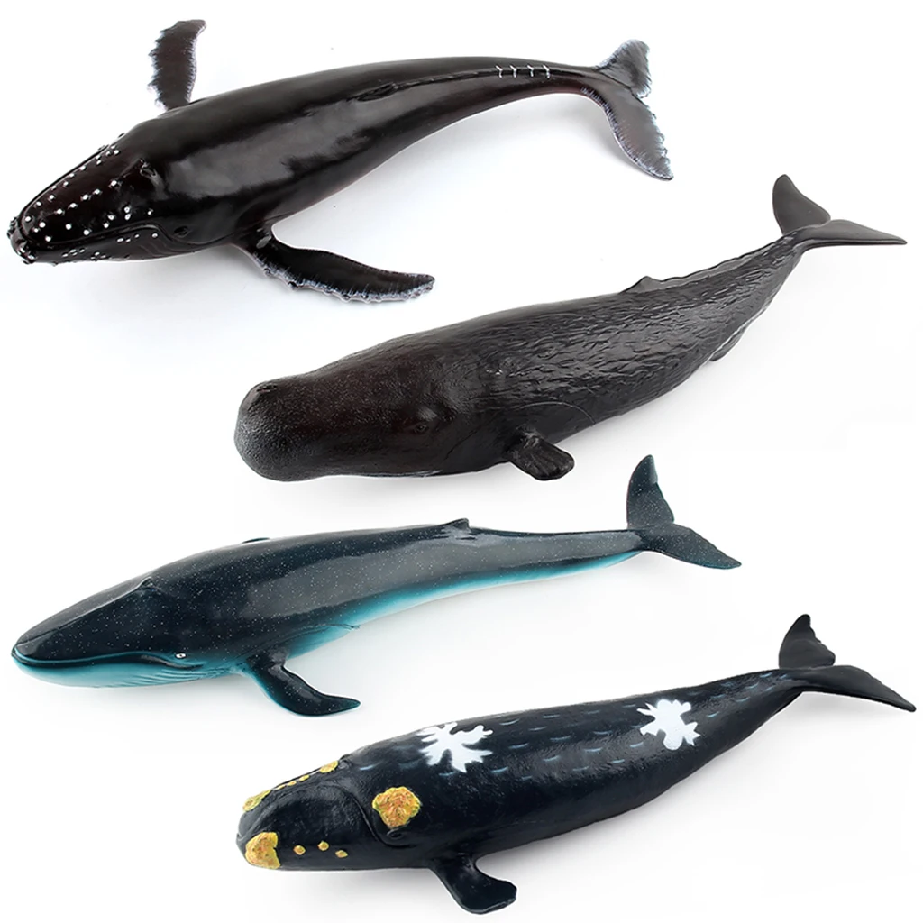 

Realistic Marine Sea Whale Animal Model Education Figure Toy Gift