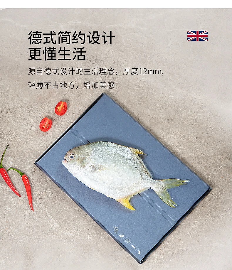 

Поднос для быстрого размораживания мяса, рыбы, куриной груди