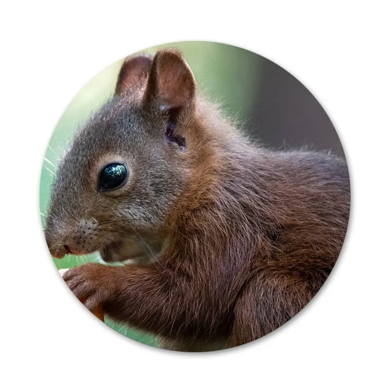 

squirrel Badge Brooch Pin Accessories For Clothes Backpack Decoration gift