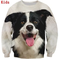 you will have a bunch of border collie 3d printed hoodies boy for girl long sleeve shirts kids animal sweatshirt