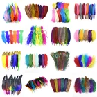 Разноцветные комбинации гусиных страусиных перьев, украшение для свадебной вечеринки, Цыпленок фазана, перо индейки, павлина, сделай сам