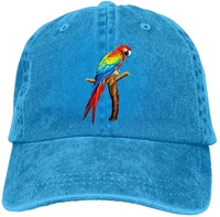 parrot denim baseball caps hat adjustable cotton sport strap cap for men women