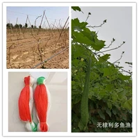 yam climbing vine net bean net cucumber net plant clim horticultural equipment plant support and protective equipment plant cage