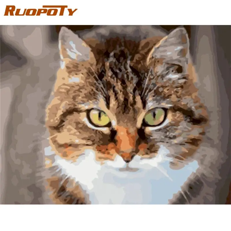 

RUOPOTY Oil Painting By Numbers For Adults 40x50cm Framed Angry Cat Animal Picture By Number HandPainted Home Room Art Craft