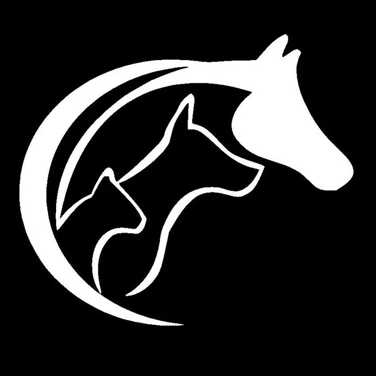 

Creative Car Sticker Animal Lovers Horse Dog Cat Pattern Decals Fashion Body Window Decoration Personality Waterproof Stickers