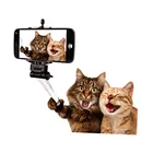 Нашивки для селфи кошки аксессуары для одежды Diy Женская одежда футболка Термотрансферная наклейка бумага, железо Ons для одежды патч