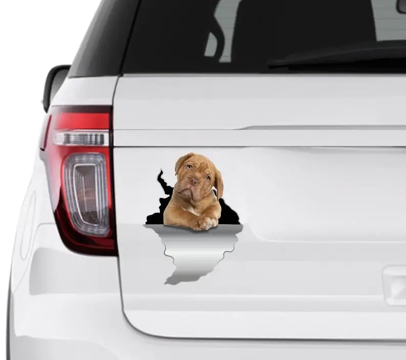 

Car sticker Pretty dog Puppy stickers Puppy car decor Animals decor Funny stickers Bumper dog stickers Cute dog stickers 94