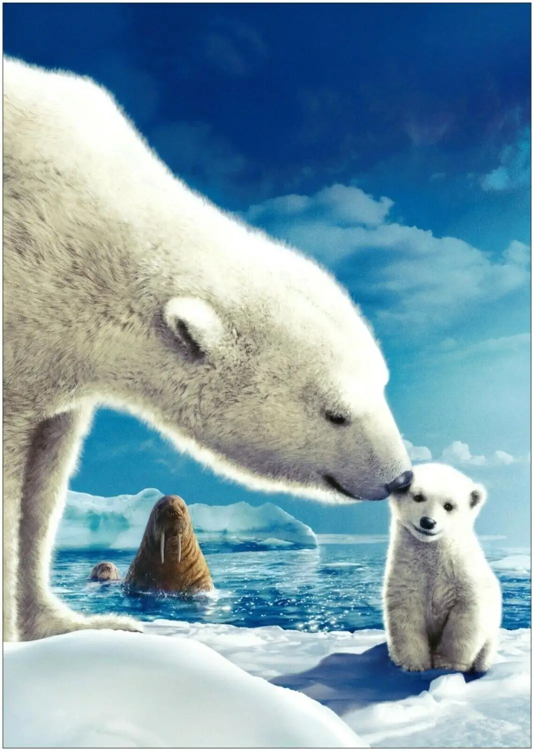 

Cute Polar Bear Art print Silk poster Home Wall Decor
