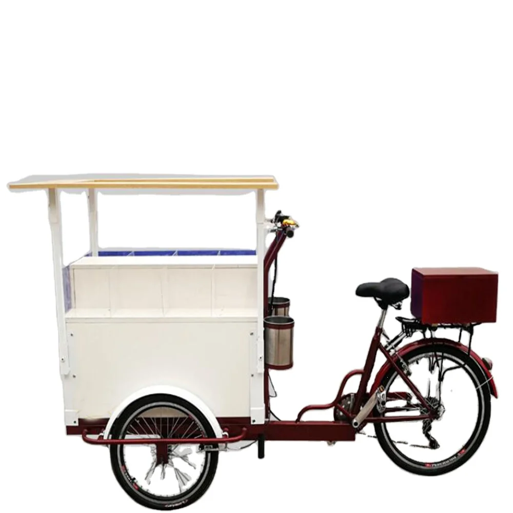 

Customize Electric Tricycles Food Carts Adult Cargo Bicycles Outdoor Fruit Snack Salad Display Bike for Sale