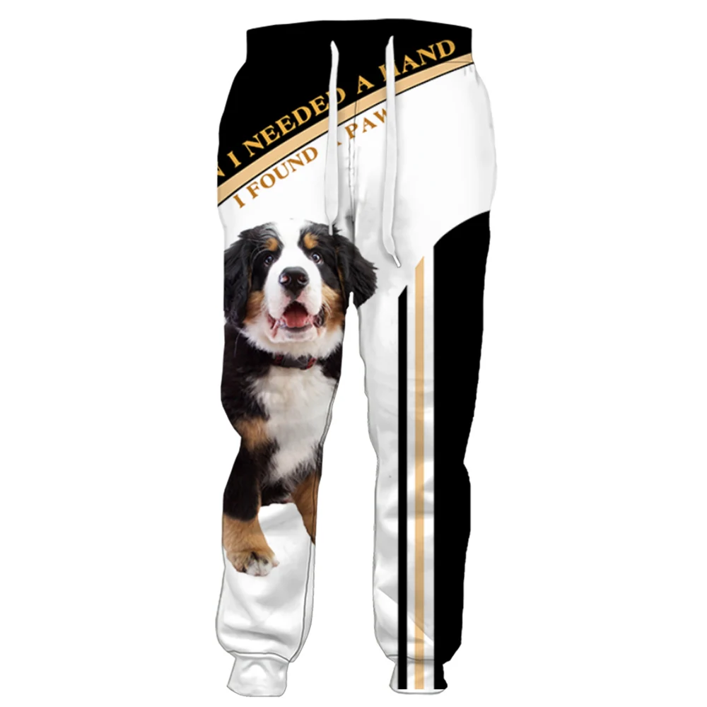 CLOOCL Great Swiss Mountain Dog Pants 3D Graphic Striped Letter Splicing Sweatpants Elastic Trousers Joggers Harajuku Streetwear