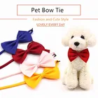 2021 милое бытовое регулируемое ожерелье для собак, кошек, флейта, щенков, бесплатная доставка, галстук-бабочка для кота