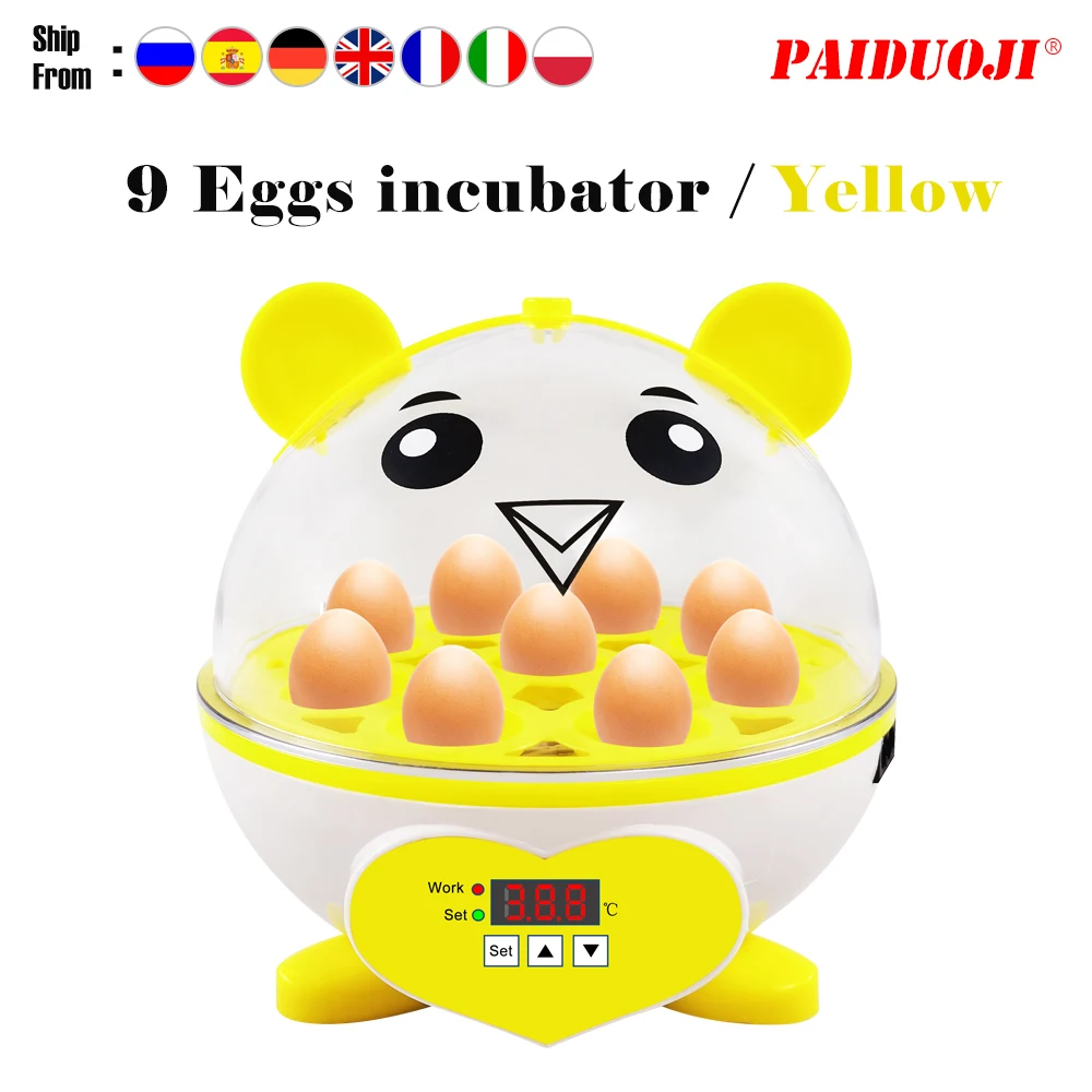 

Family version Chicken Duck Quail Birds Egg Incubator Incubation Brooder Mini 9 Eggs Cartoon Incubator Manual Egg Turning NEW!
