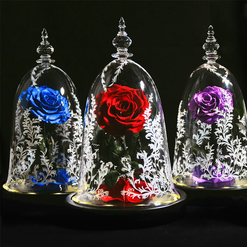 

Beauty and The Beast Preserved Roses Gift Forever Eternal Rose Flowers In Glass LED Light for Valentine Mothers Day Gifts