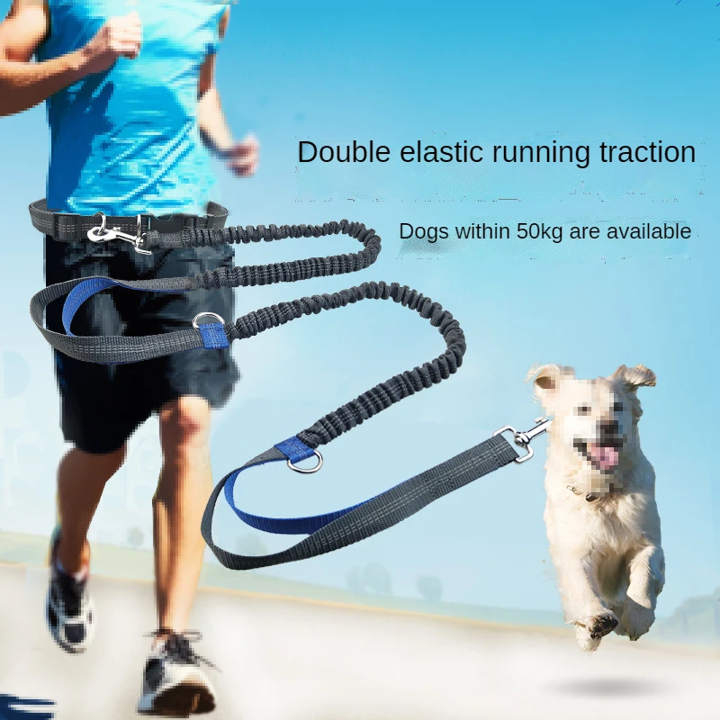 

Pet Leash Portable Running Reflective Double Retractable Dog Leash Dogs Chain Leash Pet Supplies
