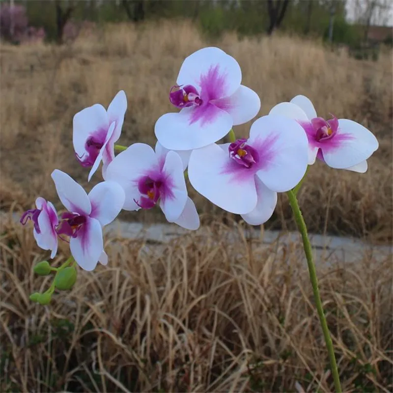 

4Pcs Fake Latex Phalaenopsis Orchid Flowers (7 heads/piece) 37.4" Length Real Touch Butterfly Orchids for Home Floral Decoration