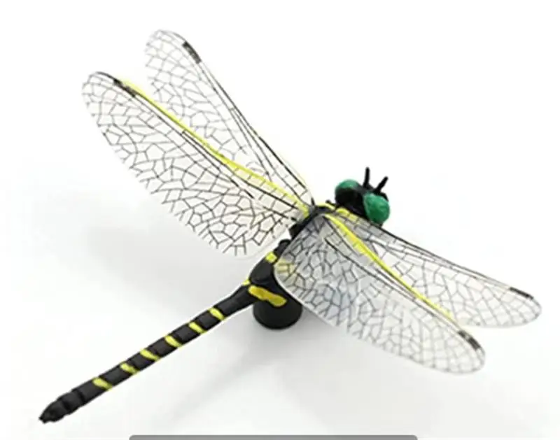 

Simulation Dragonfly Model Action Figures Plastic Insect Model Cognition Educational Kids Toys Gift Home Dragonfly Model Decor
