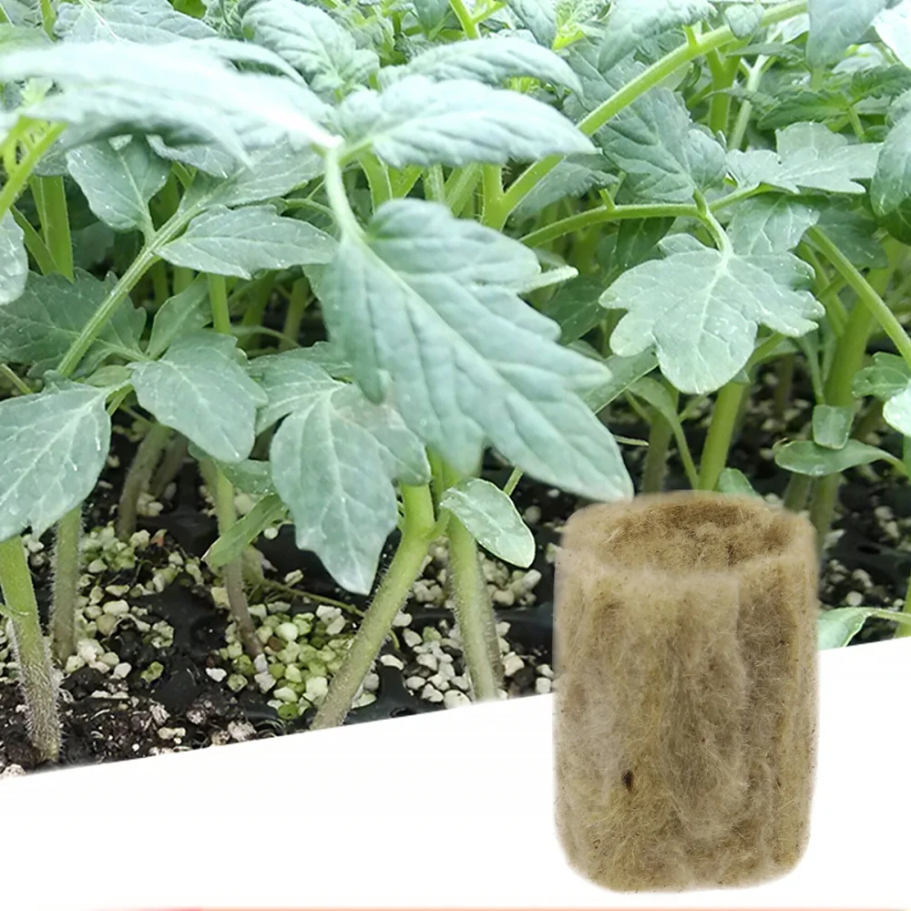 20 шт. рост рассады пробки из минеральной ваты бесмасляная культура гидропонная