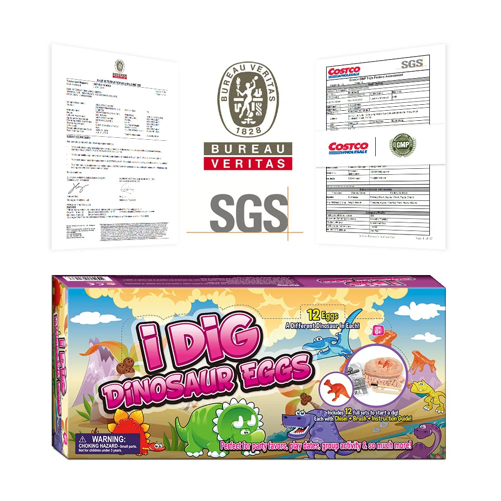 

12 pcs Dinosaur Eggs Dig Excavation Kit Dino Archaeology Educational Toys for Kids Educational Toys Gifts