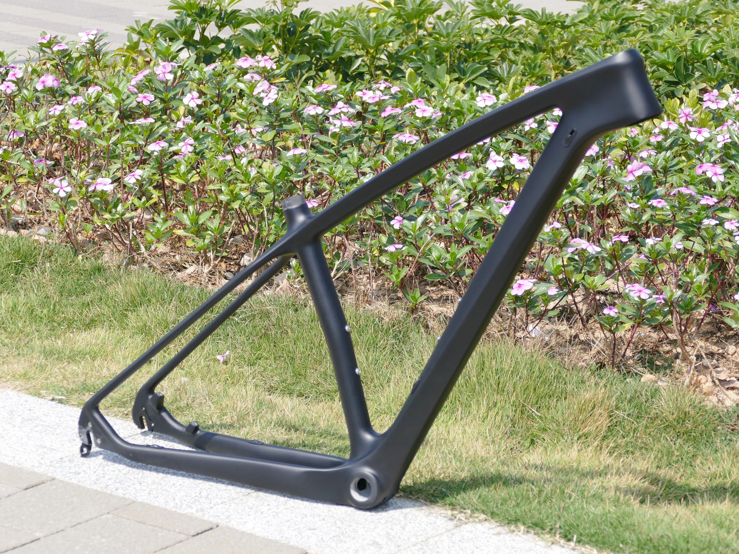 Полностью карбоновый UD матовый горный велосипед MTB 29 дюймов колесо BSA 29er Рамка