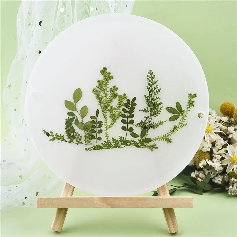 Натуральные сушеные листья цветы зеленые растения сделай сам кристалл