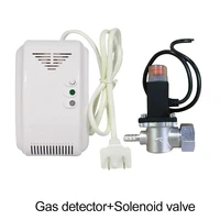 standalone combustible gas detector home kitchen natural gas leaking alarm sensor magnetic solenoid valve dn15 lpg leak stop